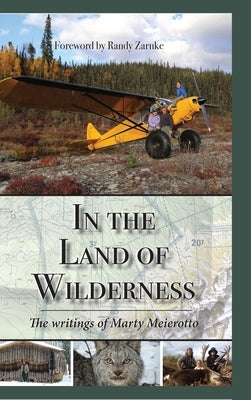 In the Land of Wilderness - Hardcover | Diverse Reads