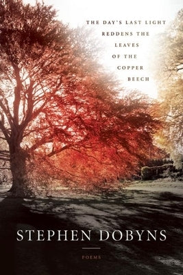 The Day's Last Light Reddens the Leaves of the Copper Beech - Paperback | Diverse Reads
