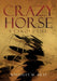 Crazy Horse: A Lakota Life - Paperback | Diverse Reads