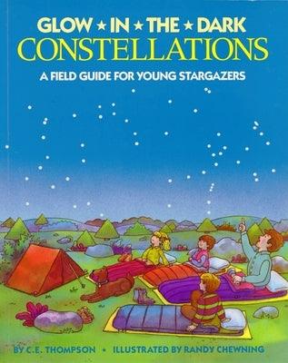 Glow-In-The-Dark Constellations - Paperback | Diverse Reads