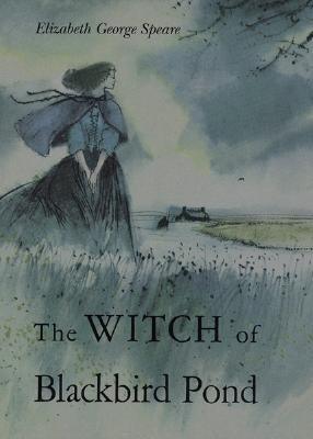 The Witch of Blackbird Pond: A Newbery Award Winner - Hardcover | Diverse Reads