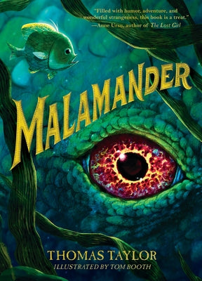 Malamander (Legends of Eerie-on-Sea Series #1) - Hardcover | Diverse Reads