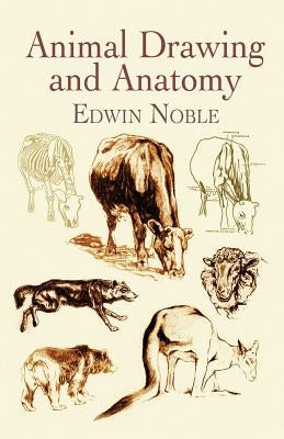 Animal Drawing and Anatomy - Paperback | Diverse Reads