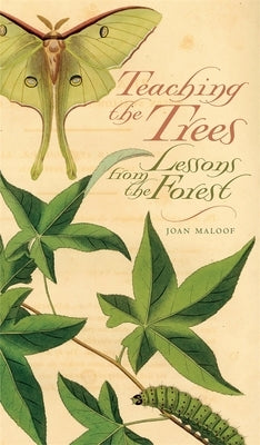 Teaching the Trees: Lessons from the Forest - Paperback | Diverse Reads
