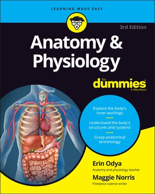 Anatomy & Physiology for Dummies - Paperback | Diverse Reads