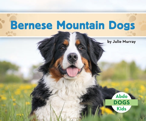 Bernese Mountain Dogs - Library Binding | Diverse Reads