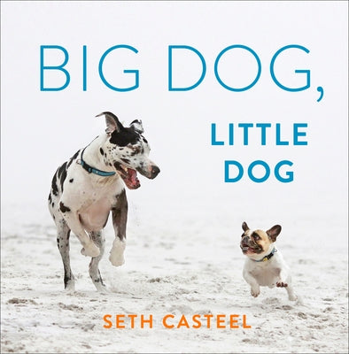 Big Dog, Little Dog - Hardcover | Diverse Reads