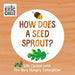 How Does a Seed Sprout?: Life Cycles with the Very Hungry Caterpillar - Board Book | Diverse Reads