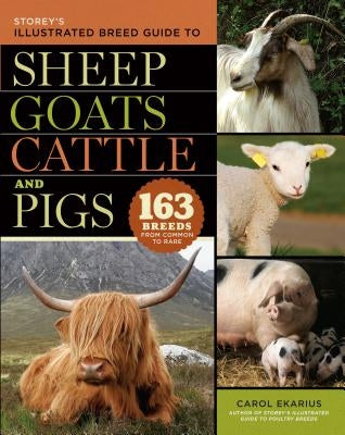 Storey's Illustrated Breed Guide to Sheep, Goats, Cattle and Pigs: 163 Breeds from Common to Rare - Paperback | Diverse Reads