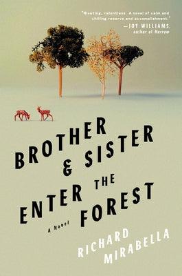 Brother & Sister Enter the Forest - Hardcover | Be Know Do