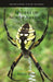 Spiders of North America - Paperback | Diverse Reads