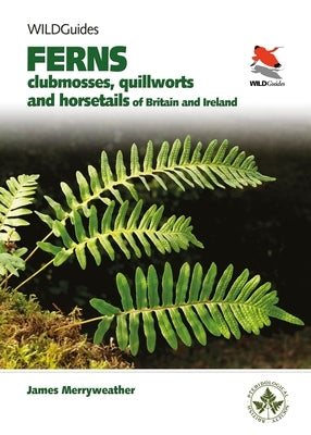 Ferns: Clubmosses, Quillworts and Horsetails of Britain and Ireland - Paperback | Diverse Reads