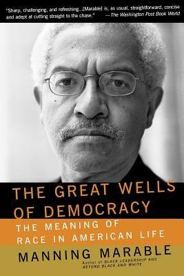 The Great Wells of Democracy: The Meaning of Race in American Life - Paperback |  Diverse Reads