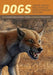 Dogs: Their Fossil Relatives and Evolutionary History - Paperback | Diverse Reads