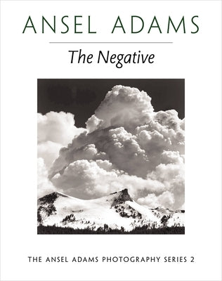 The Negative / Edition 1 - Paperback | Diverse Reads