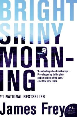 Bright Shiny Morning - Paperback | Diverse Reads