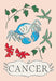 Cancer - Hardcover | Diverse Reads