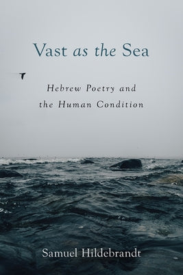 Vast as the Sea: Hebrew Poetry and the Human Condition - Paperback | Diverse Reads