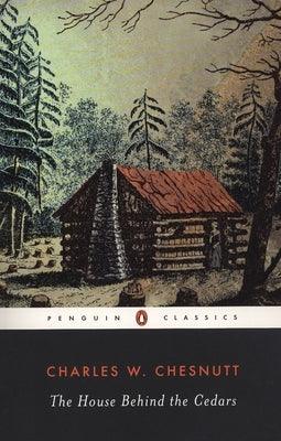 The House Behind the Cedars - Paperback |  Diverse Reads