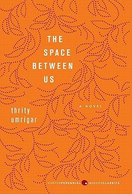 The Space Between Us - Paperback | Diverse Reads