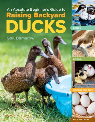 An Absolute Beginner's Guide to Raising Backyard Ducks: Breeds, Feeding, Housing and Care, Eggs and Meat - Paperback | Diverse Reads