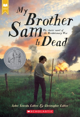My Brother Sam Is Dead - Paperback | Diverse Reads