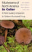 Mushrooms of North America in Color: A Field Guide Companion to Seldom-Illustrated Fungi / Edition 1 - Paperback | Diverse Reads