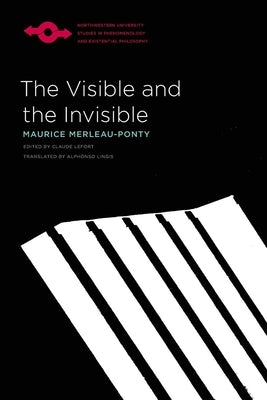 The Visible and the Invisible / Edition 1 - Paperback | Diverse Reads