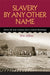 Slavery by Any Other Name: African Life under Company Rule in Colonial Mozambique - Paperback | Diverse Reads