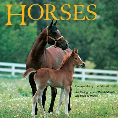 Horses: An Abridgement of Harold Roth's Big Book of Horses - Paperback | Diverse Reads