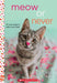 Meow or Never: A Wish Novel - Paperback