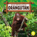 Orangutan - Hardcover | Diverse Reads