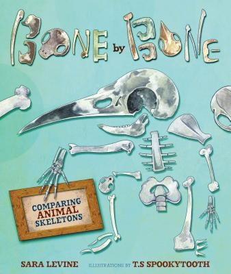 Bone by Bone: Comparing Animal Skeletons - Hardcover | Diverse Reads