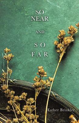 So Near and So Far - Paperback | Diverse Reads