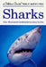 Sharks - Paperback | Diverse Reads