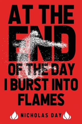 At The End Of The Day I Burst Into Flames - Paperback | Diverse Reads