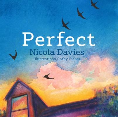 Perfect - Hardcover | Diverse Reads