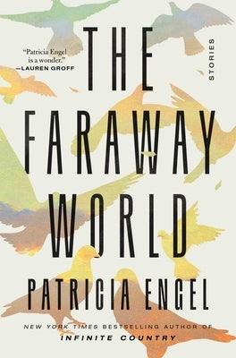 The Faraway World: Stories - Hardcover | Diverse Reads