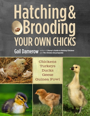Hatching & Brooding Your Own Chicks: Chickens, Turkeys, Ducks, Geese, Guinea Fowl - Paperback | Diverse Reads