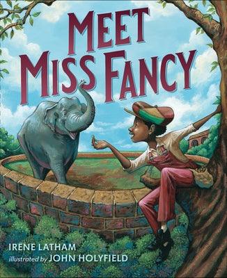 Meet Miss Fancy - Hardcover | Diverse Reads