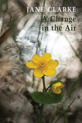 A Change in the Air - Paperback | Diverse Reads
