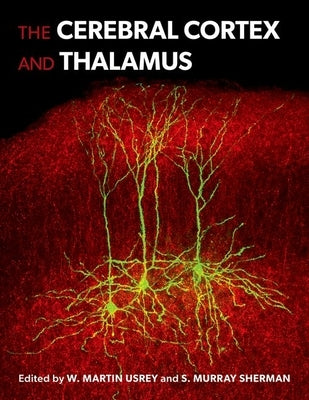 The Cerebral Cortex and Thalamus - Hardcover | Diverse Reads