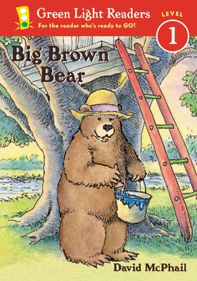 Big Brown Bear - Paperback | Diverse Reads