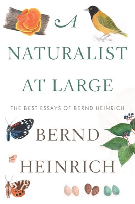 A Naturalist At Large: The Best Essays of Bernd Heinrich - Hardcover | Diverse Reads