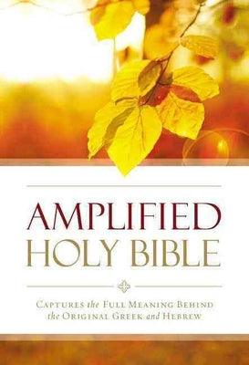 Amplified Outreach Bible, Paperback: Capture the Full Meaning Behind the Original Greek and Hebrew - Paperback | Diverse Reads