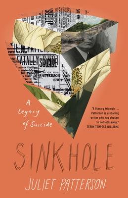 Sinkhole: A Legacy of Suicide - Hardcover | Diverse Reads