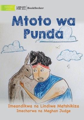 Donkey Child - Mtoto wa Punda - Paperback | Diverse Reads
