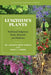 Luschiim's Plants: Traditional Indigenous Foods, Materials and Medicines - Paperback