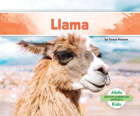 Llama - Library Binding