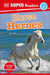 DK Super Readers Level 4 Horse Heroes - Hardcover | Diverse Reads